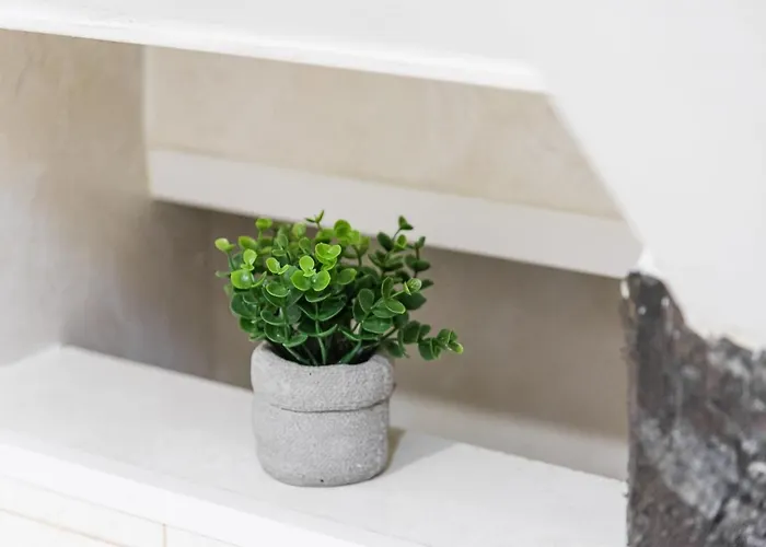 Daire Guestready - Miragaia Stone &